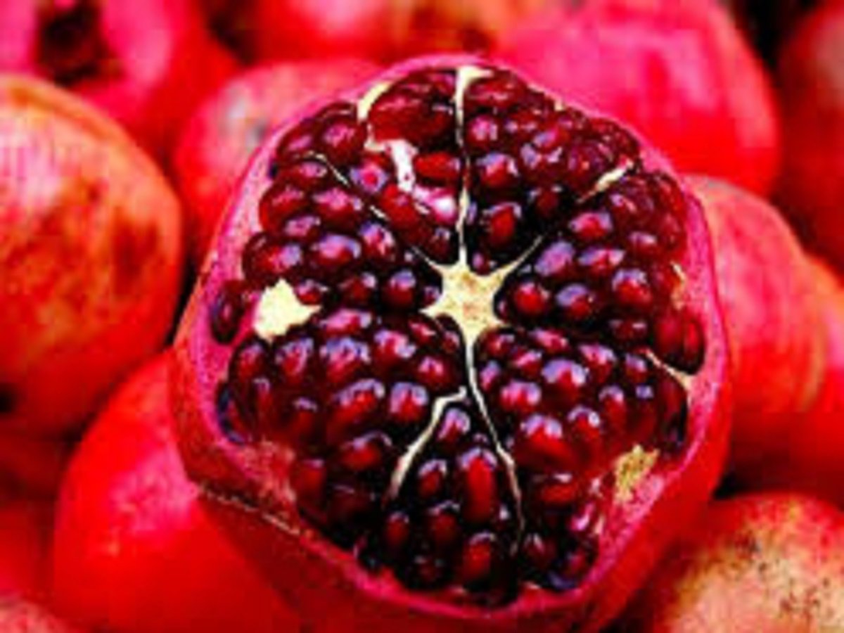 Health Tips: Consume just one pomegranate daily to reap these surprising health benefits