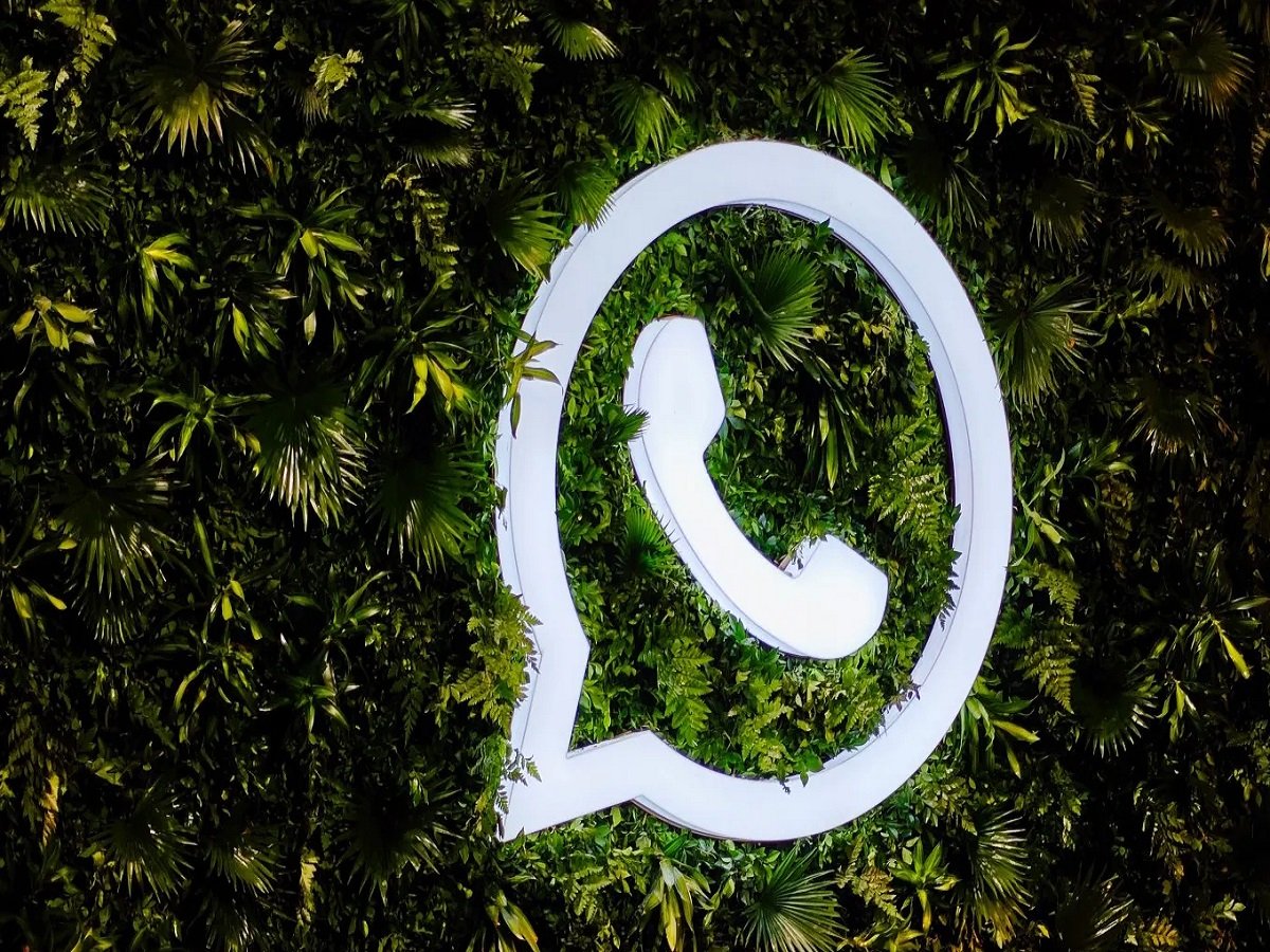 Tech Tips: You can hide your WhatsApp status from specific people; here is the easy process